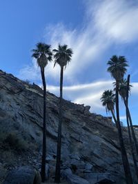 Low angle view of coconut palm trees against sky