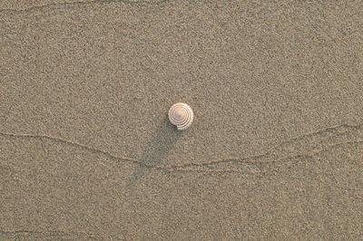 Close-up of sand on beach