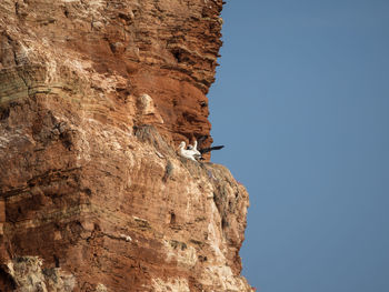 Low angle view of man on rock against sky