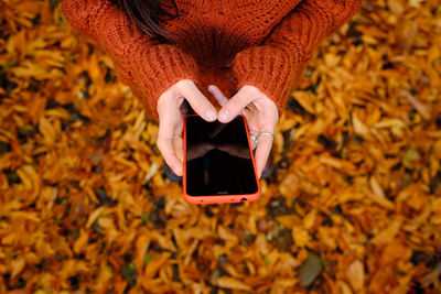 From above cropped unrecognizable female in warm red knitted pullover browsing mobile phone while standing in autumn park with fallen colorful leaves