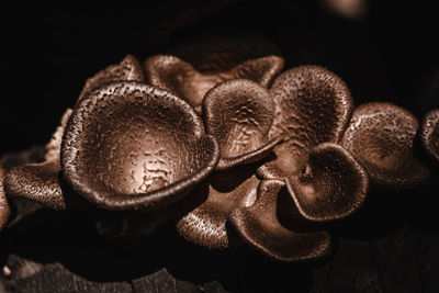 Close-up of roasted coffee beans on table