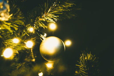 Close-up of illuminated christmas tree