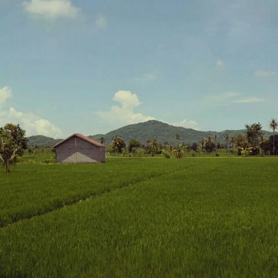 building exterior, architecture, grass, built structure, sky, landscape, field, house, green color, mountain, rural scene, tranquil scene, tranquility, grassy, scenics, beauty in nature, cloud, cloud - sky, nature, agriculture