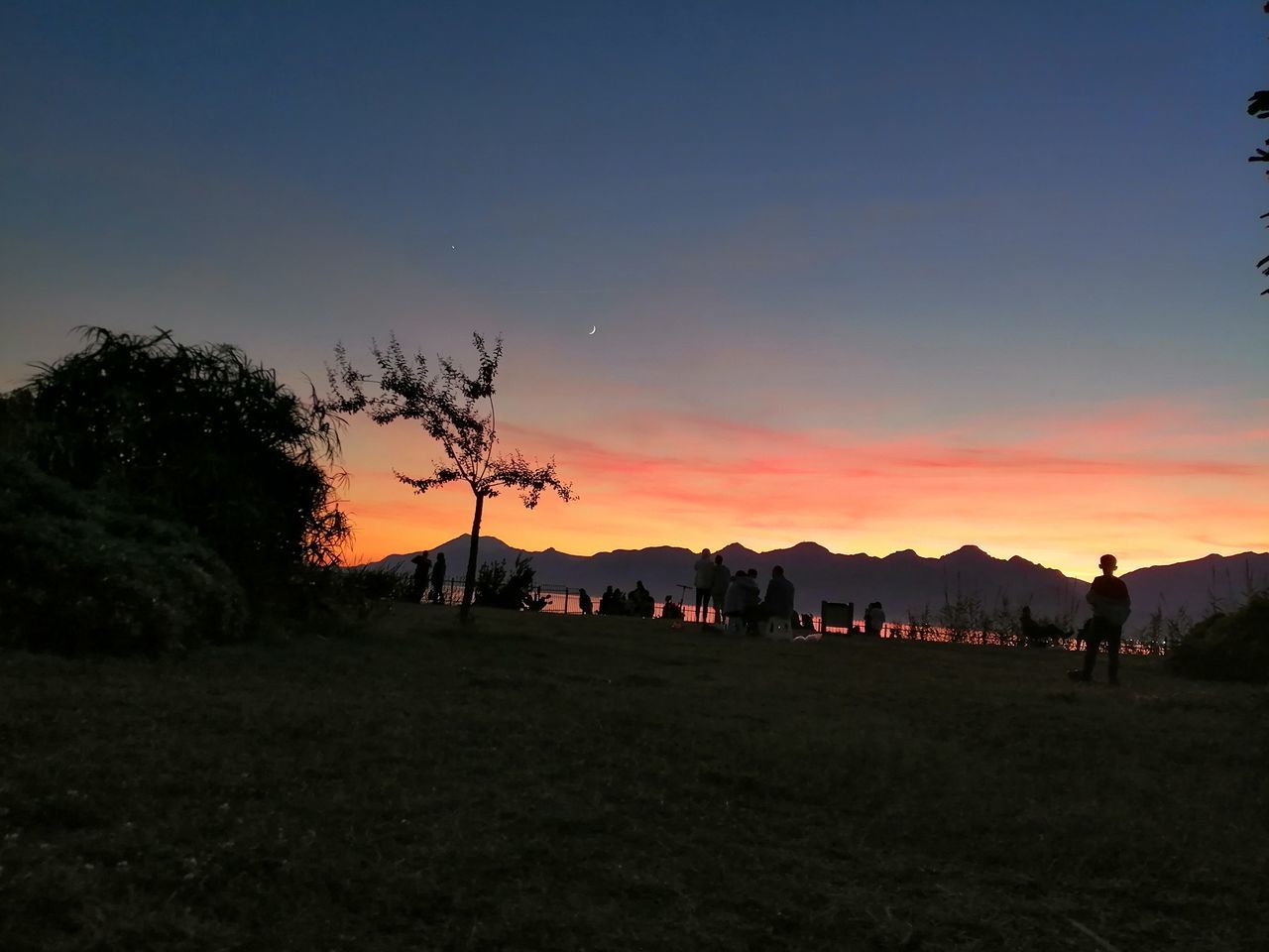 SILHOUETTE TREES ON FIELD AGAINST ORANGE SKY