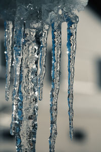 Close-up of frozen water