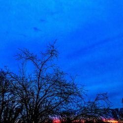 Low angle view of bare tree against blue sky