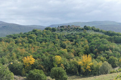 High angle view of trees on landscape against sky