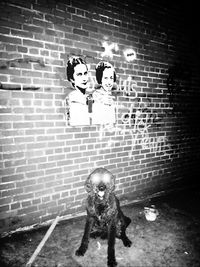 Full length of young man standing on wall