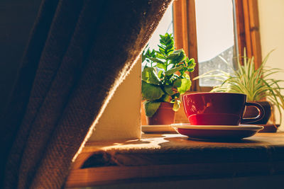 Red cup of hot coffee with low sunlight from the windows.