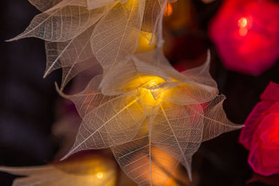 Close-up of yellow woman