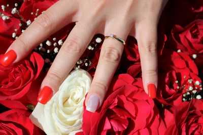 Close-up of ring against red roses