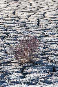 Close-up of rocks on beach