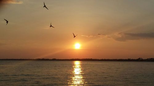 Scenic view of sea against sky during sunset