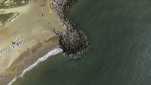 High angle view of starfish on beach