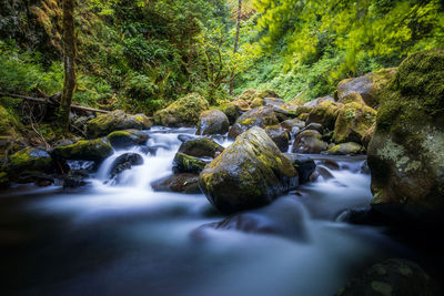 Close-up of waterfall against trees