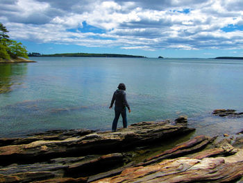 Rear view of man standing at shore against sky