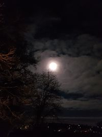 Low angle view of silhouette trees against sky at night