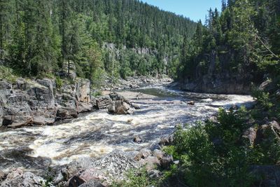 River flowing through rocks