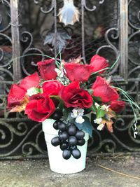 Close-up of red flowers