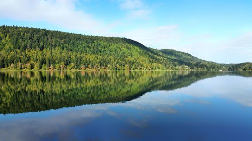 Scenic view of lake by trees against sky