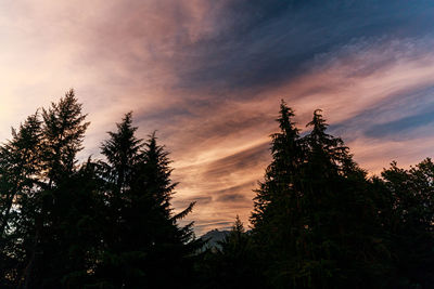 Low angle view of silhouette trees against sky at sunset