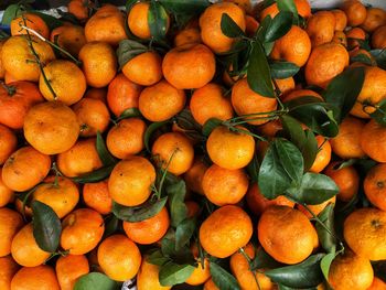 Full frame shot of oranges