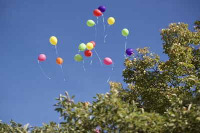 Low angle view of balloons against sky