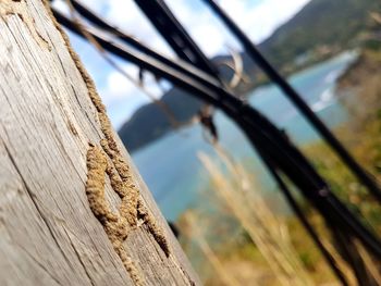 Close-up of rope on bridge
