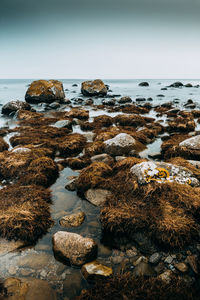 Rocks on beach against sky