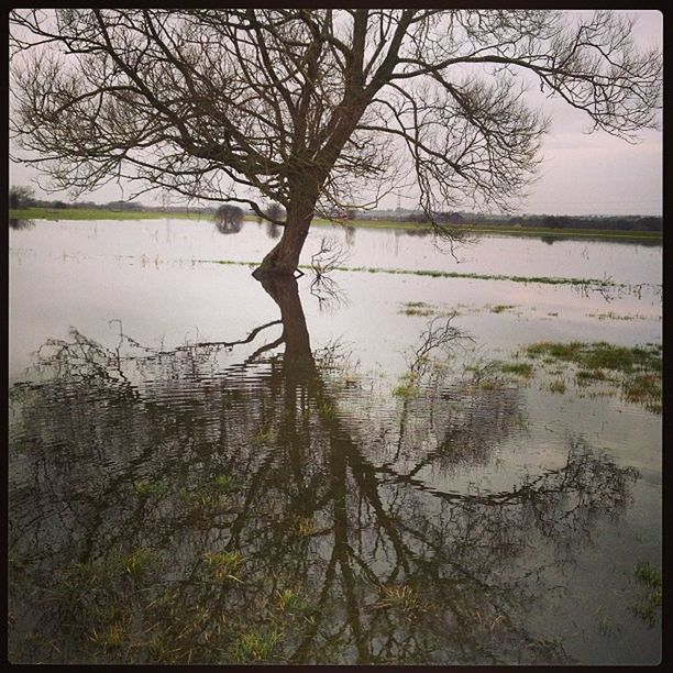 bare tree, water, tree, branch, transfer print, tranquility, lake, tranquil scene, auto post production filter, scenics, nature, beauty in nature, reflection, lakeshore, river, sky, tree trunk, non-urban scene, outdoors, no people