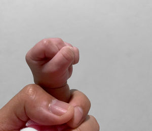 Close-up of person holding hands over white background