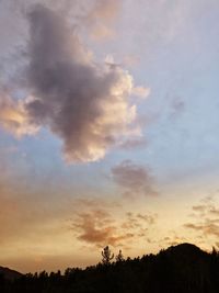 Low angle view of silhouette trees against sky at sunset