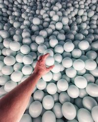 Close-up of person holding ball