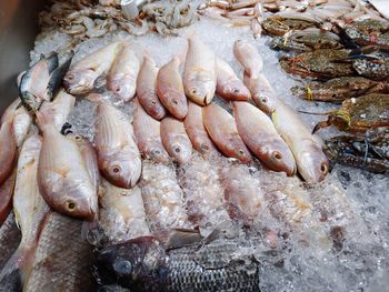 High angle view of fish for sale in market