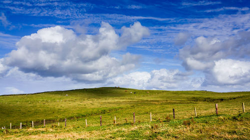 Scenic view of landscape against sky