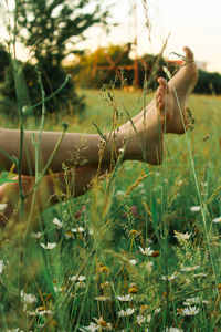 Close-up of woman hand on field against sky