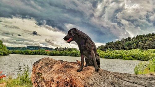 Scenic view of lake against cloudy sky