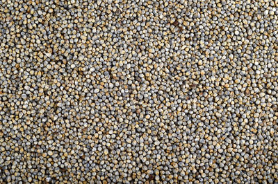 Full frame shot of cracked for sale