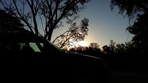 Silhouette trees against sky during sunset