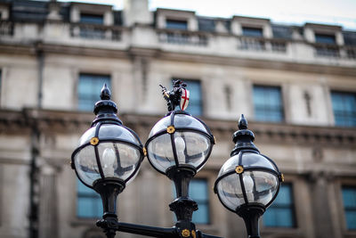 Close-up of street light against building in city