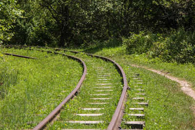 High angle view of railroad track amidst trees on field