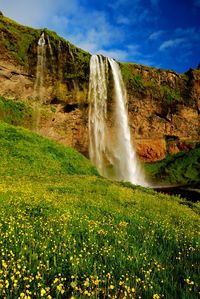 Scenic view of waterfall