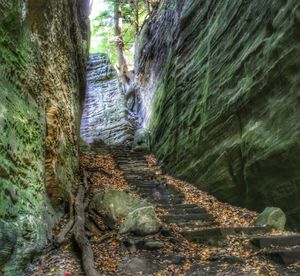 Close-up of waterfall in forest