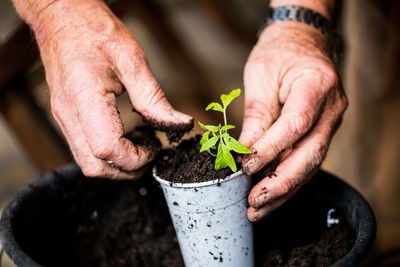 Cropped hand of person planting