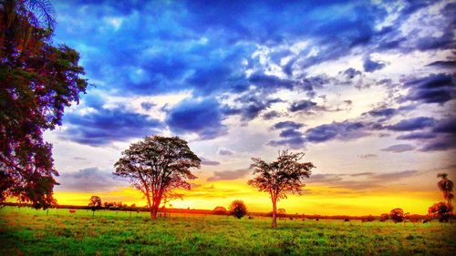 Scenic view of field against cloudy sky