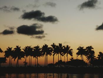 Low angle view of palm trees against sky during sunset