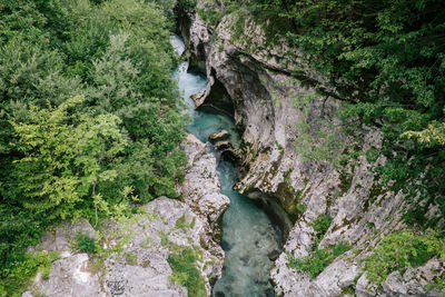 High angle view of stream amidst rocks in forest