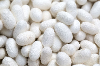 Full frame shot of coffee beans