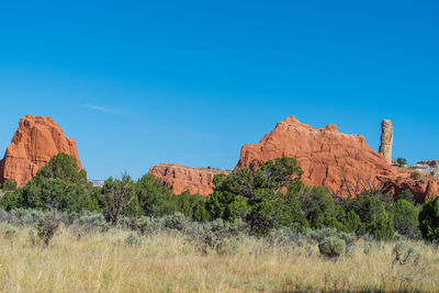 Kodachrome basin state park landscape of row of orange rock formations and desert greenery in utah