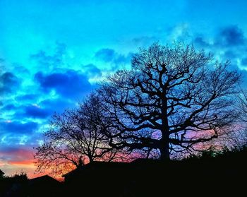 Low angle view of bare trees against sky